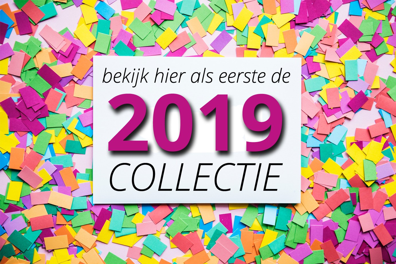 Een blik op 2019 (sneak preview!)