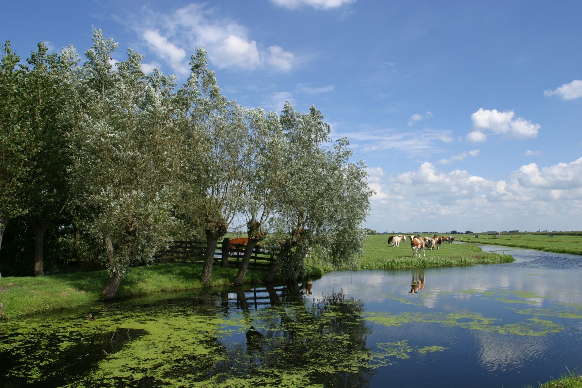 De mooiste routes door het Groene Hart