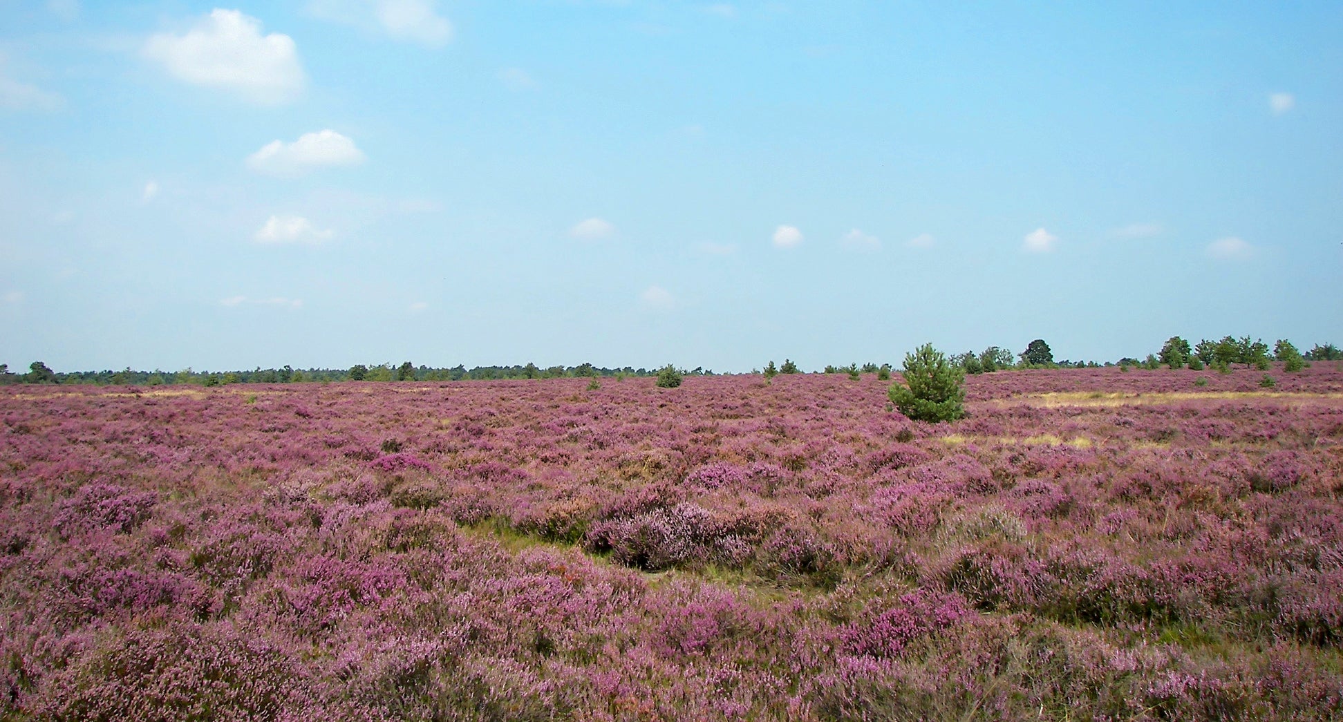 Fietsen in de nazomer - de 5 mooiste fietsroutes