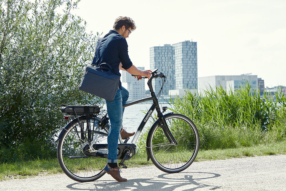 De elektrische Gazelle fietsen van 2017