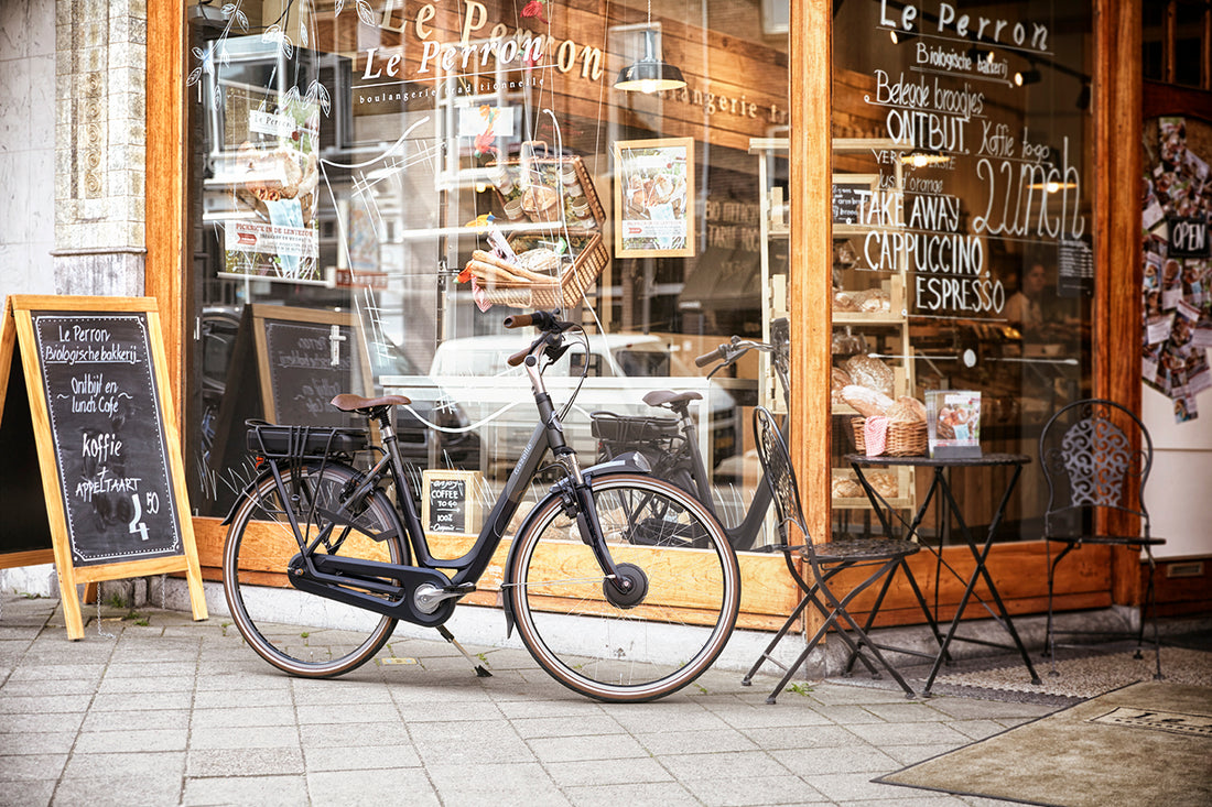 Welke elektrische fiets past bij jou?