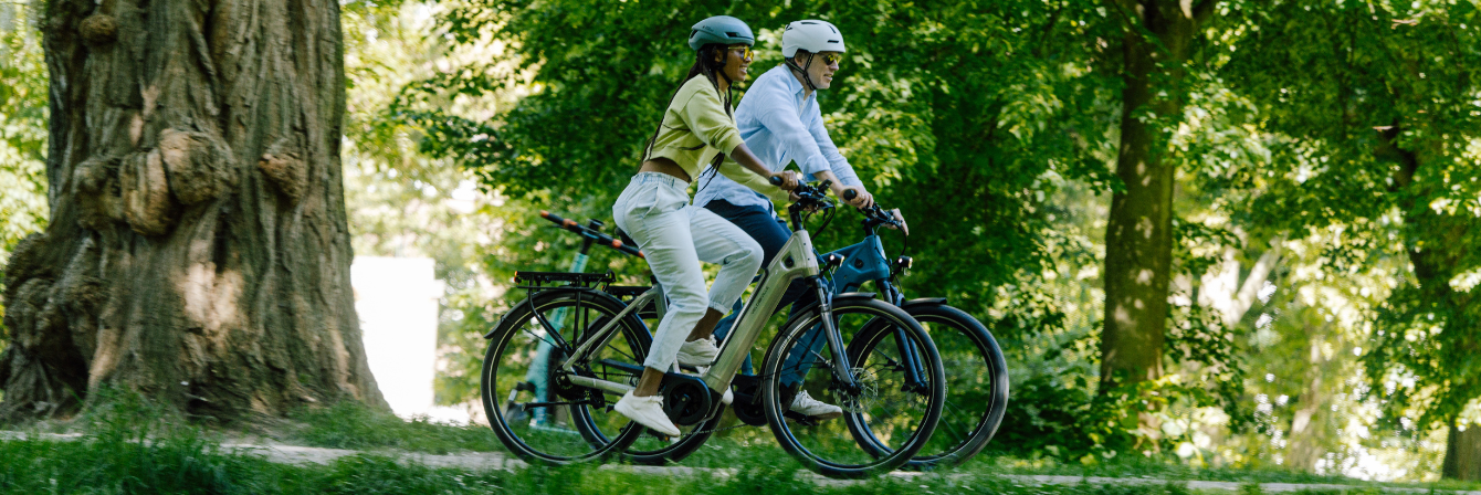 Elektrische fietsen 2027