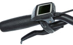 Cortina E-U4 Transport Solid Heren 2024
