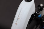 Cube Kathmandu Hybrid Deluxe Pro 800 Dames 2027