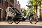 Cube Trike Hybrid Family 750