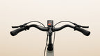 Tenways CGO Compact E-Bike