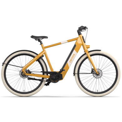 Cortina E-Blau DB7 Heren 2026