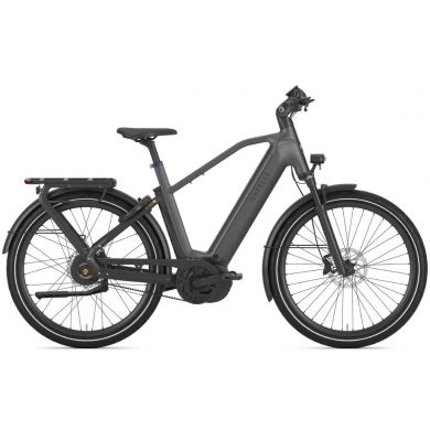 Gazelle Eclipse C380 HMB Heren