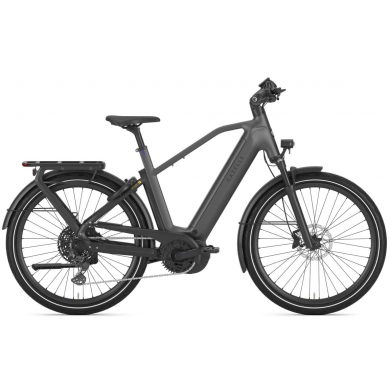 Gazelle Eclipse T11 HMB Heren