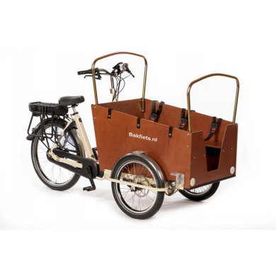 Bakfiets.nl E-CargoTrike Daycare SS5