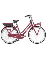 Gazelle Miss Grace C7 HMB 2025