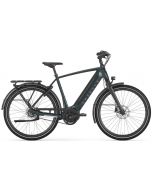 Gazelle Ultimate C8+ HMB Belt 2025 Heren