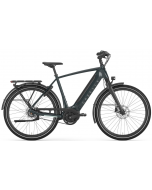 Gazelle Ultimate C8+ HMB Belt 2025 Heren