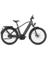 Gazelle Eclipse Speed HMB Heren