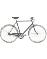 Gazelle van Stael 2025 Heren