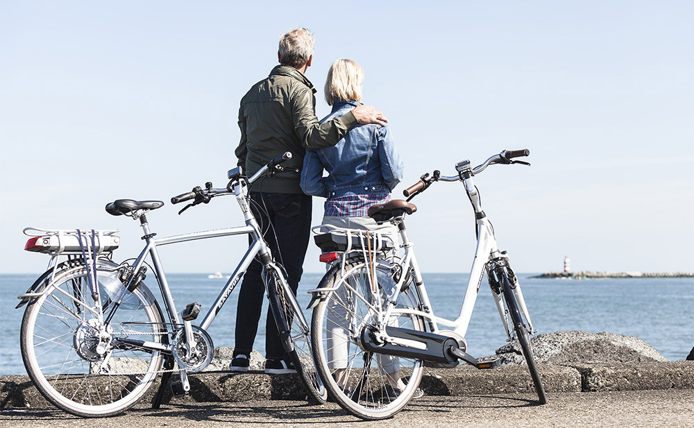 elektrische heren stadsfietsen