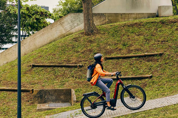 Cannondale Mavaro Neo