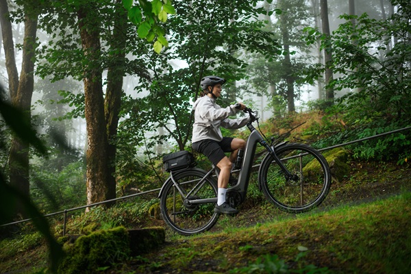 Elektrische hybride fietsen