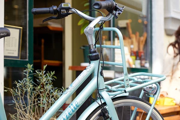 Gazelle Elektrische transportfiets