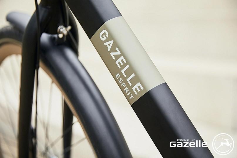 Meevoelen creatief invoeren Gazelle Esprit kopen? Fiets-Exclusief.nl