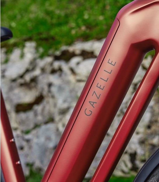 Gazelle Eclipse frame