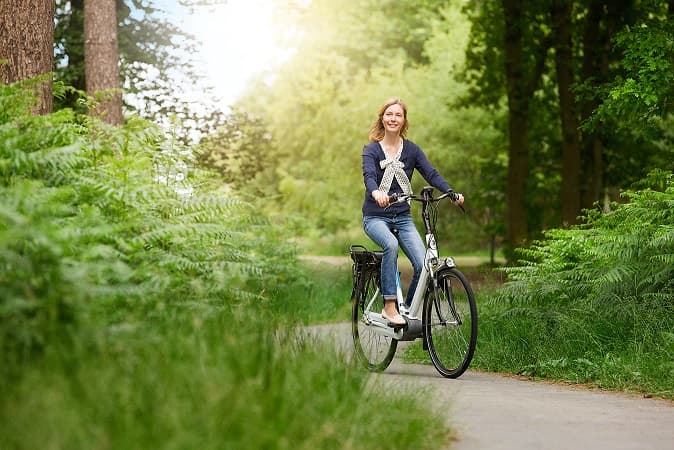 Gazelle fiets