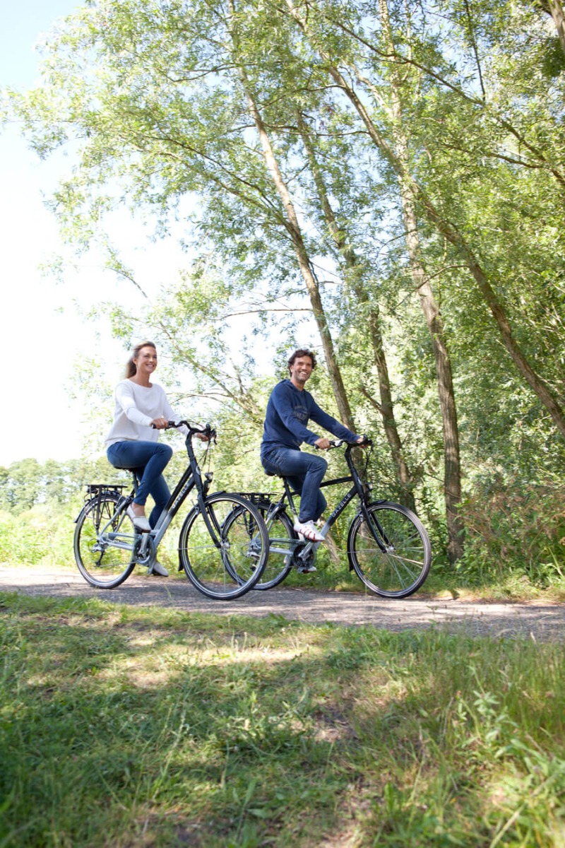 Elektrische hybride damesfiets